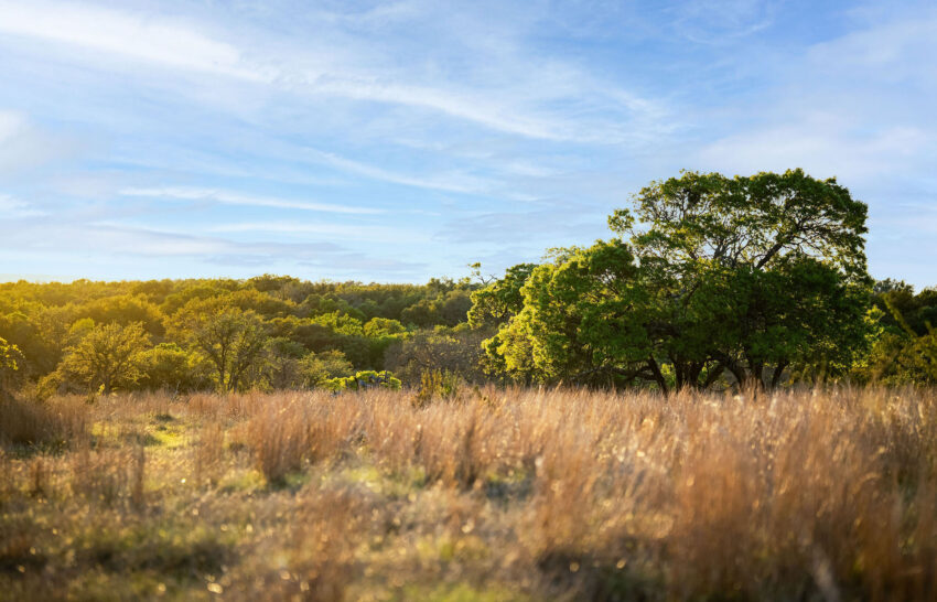 1888 Ranch 55 Acres for Sale in Gillespie County Image 12