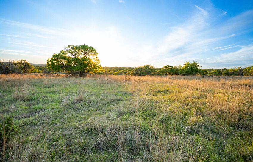 1888 Ranch 55 Acres for Sale in Gillespie County Image 13