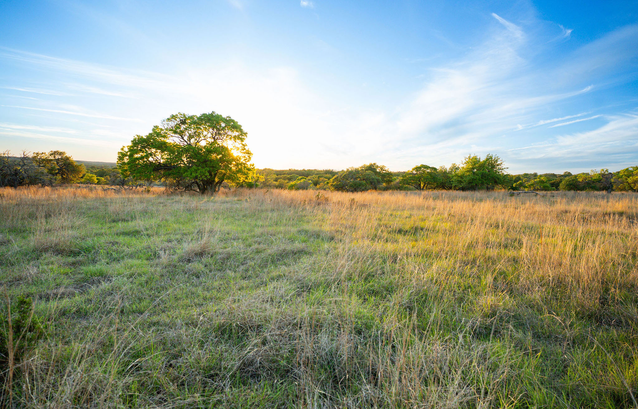 1888 Ranch 55 Acres for Sale in Gillespie County Image 13