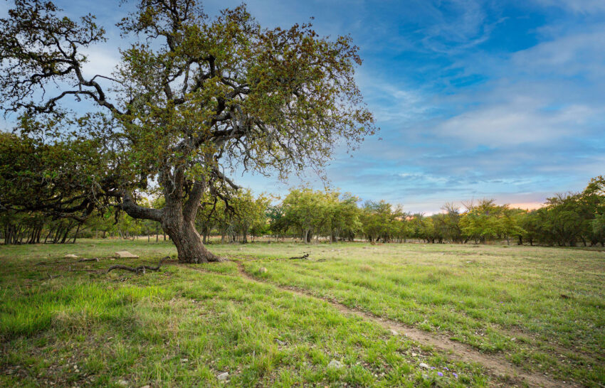 1888 Ranch 55 Acres for Sale in Gillespie County Image 14