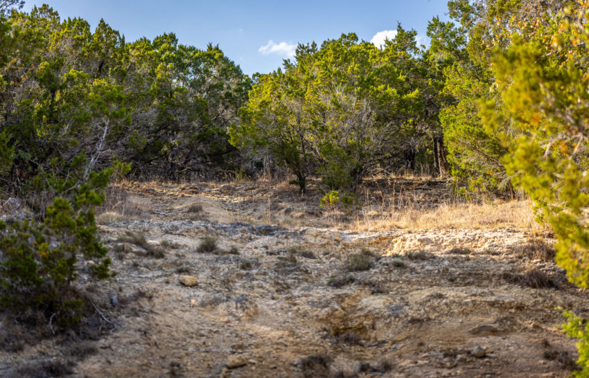 JT Hideaway 13 Acre Ranchette For Sale in Hays County Image 10
