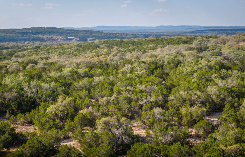 JT Hideaway 13 Acre Ranchette For Sale in Hays County Image 2