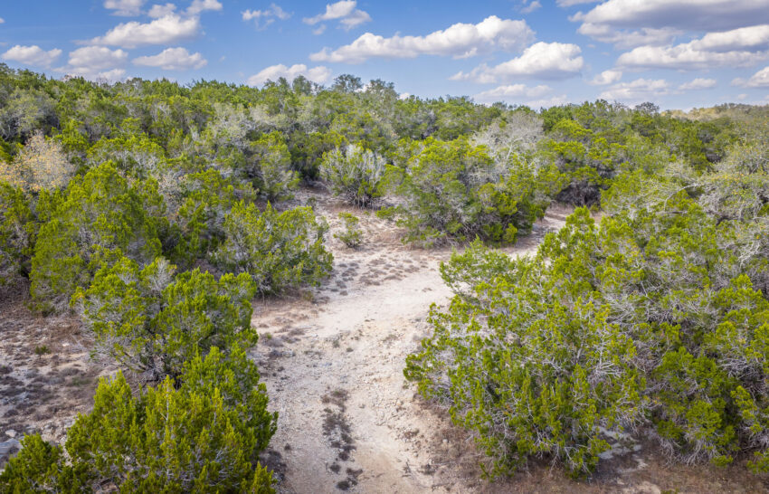 JT Hideaway 13 Acre Ranchette For Sale in Hays County Image 7