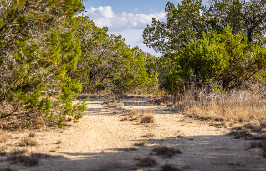 JT Hideaway 13 Acre Ranchette For Sale in Hays County Image 9