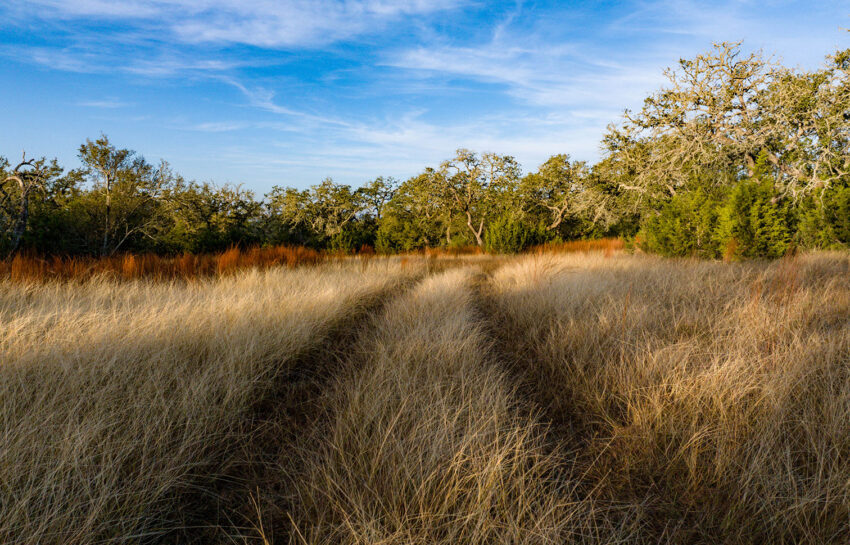 Baker Ranch 20 Acre Ranch For Sale in Hays County Image 14