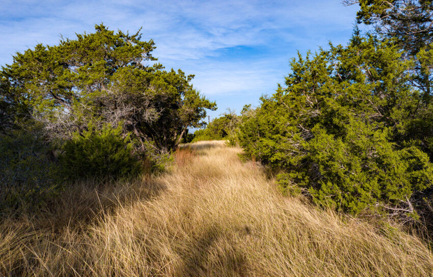 Baker Ranch 20 Acre Ranch For Sale in Hays County Image 15