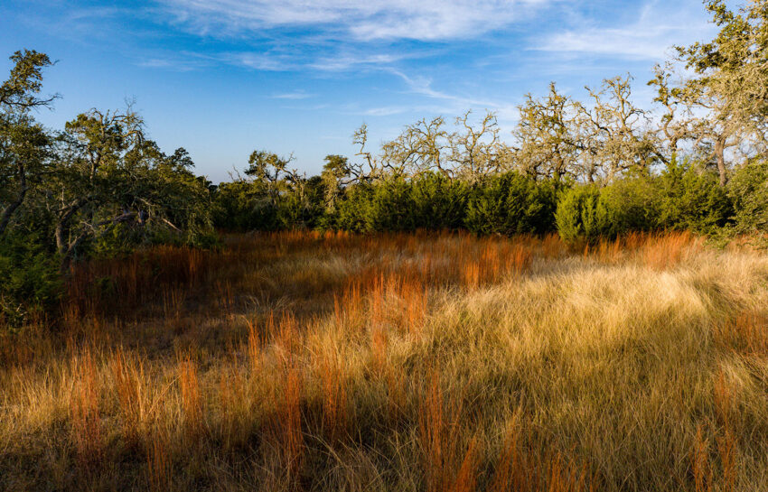 Baker Ranch 20 Acre Ranch For Sale in Hays County Image 16
