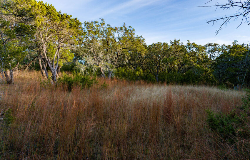 Baker Ranch 20 Acre Ranch For Sale in Hays County Image 17