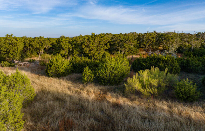Baker Ranch 20 Acre Ranch For Sale in Hays County Image 18