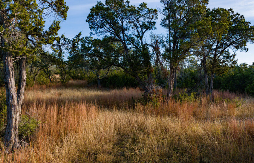 Baker Ranch 20 Acre Ranch For Sale in Hays County Image 19