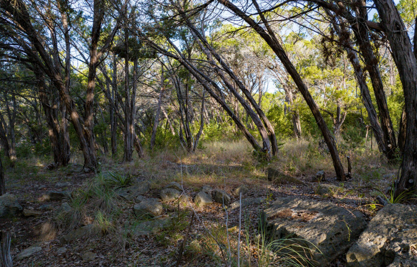 Baker Ranch 20 Acre Ranch For Sale in Hays County Image 20