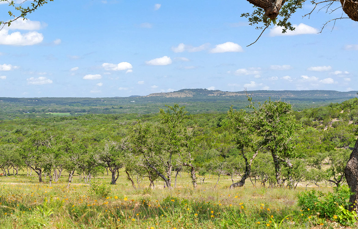Backbone Ridge Ranch 50 Acre Ranch For Sale In Hays County Image 1
