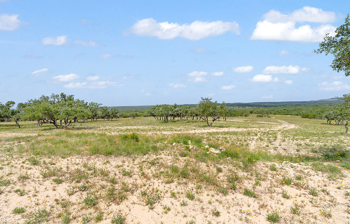 Backbone Ridge Ranch 50 Acre Ranch For Sale In Hays County Image 10