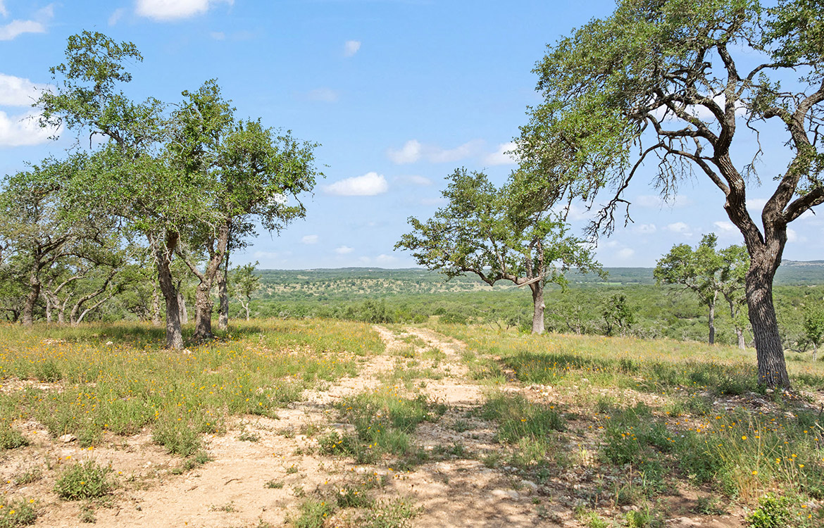 Backbone Ridge Ranch 50 Acre Ranch For Sale In Hays County Image 2