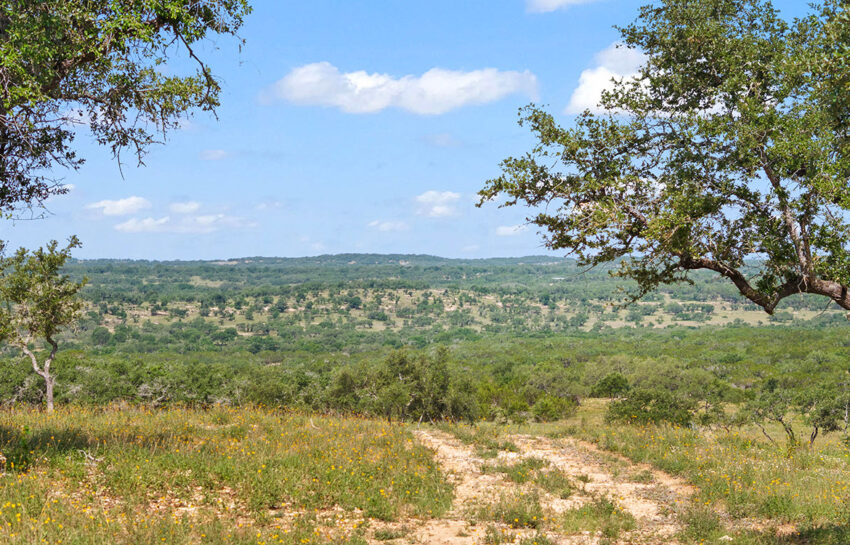 Backbone Ridge Ranch 50 Acre Ranch For Sale In Hays County Image 3