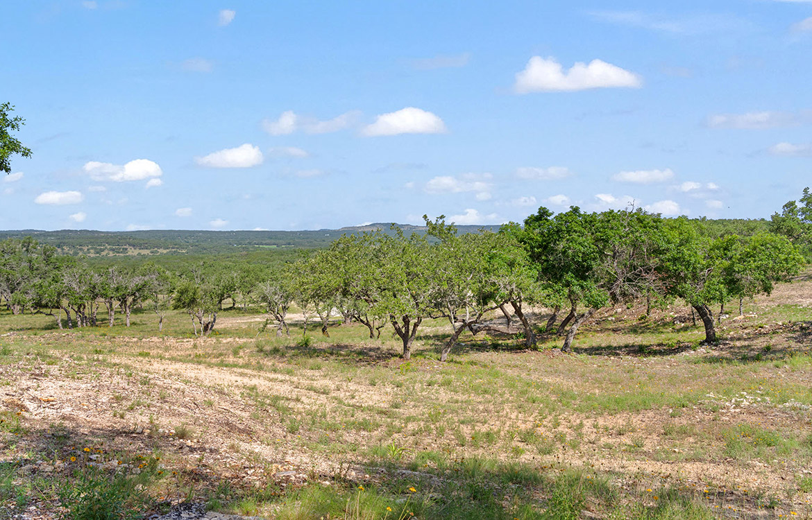Backbone Ridge Ranch 50 Acre Ranch For Sale In Hays County Image 5