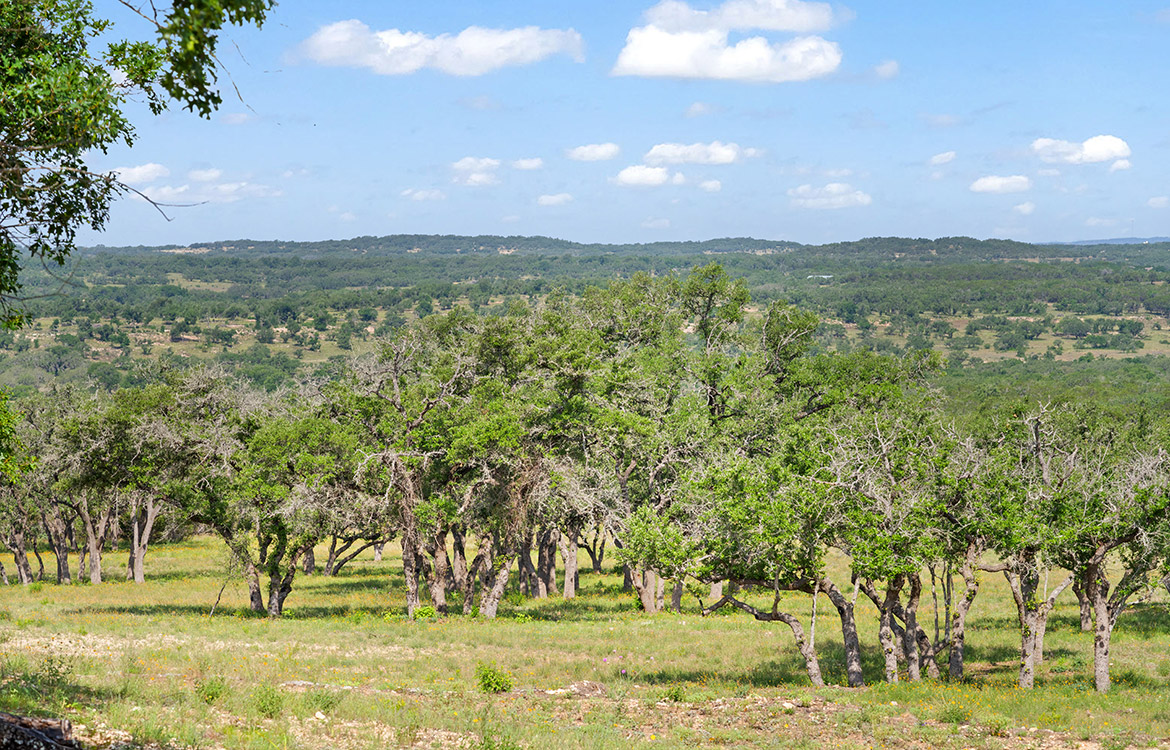 Backbone Ridge Ranch 50 Acre Ranch For Sale In Hays County Image 6