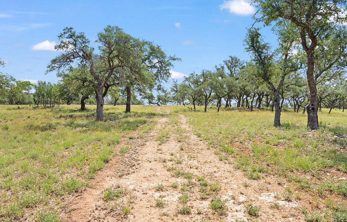 Backbone Ridge Ranch 50 Acre Ranch For Sale In Hays County Image 7