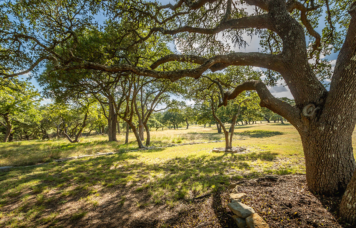 Cibolo Creek Ranch 111 Acre Ranch For Sale In Kendall County Image 16