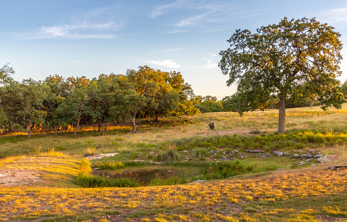 Cibolo Creek Ranch 111 Acre Ranch For Sale In Kendall County Image 17