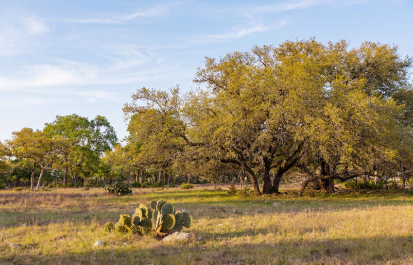 Sattler Ranch 33 acre property for sale in Kendall County Image 11
