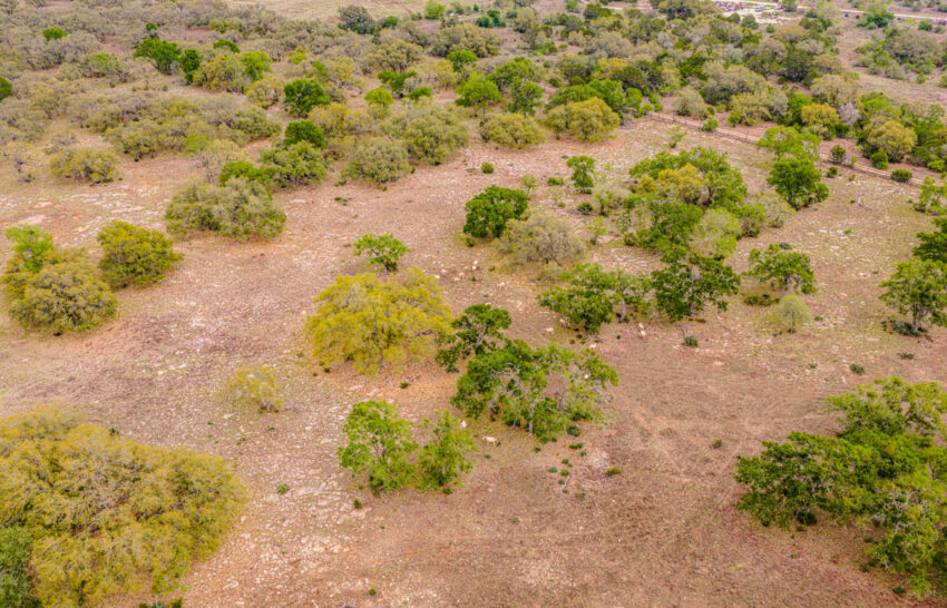 Sattler Ranch 33 acre property for sale in Kendall County Image 3