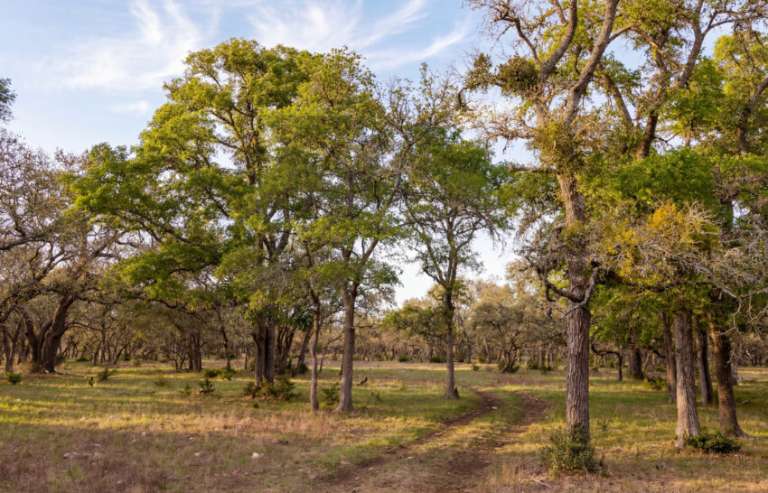 Sattler Ranch 33 acre property for sale in Kendall County Image 9