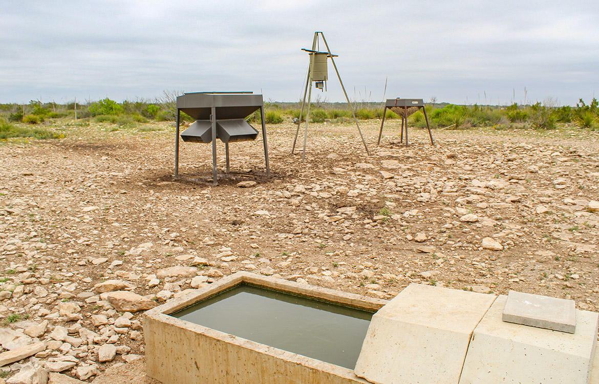 Horseshoe Mesa Ranch 114 Acre Ranch For Sale In Crockett County Image 7