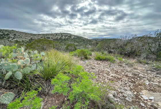 N Bar Ranch 25 Acre Ranch For Sale In Kinney County Image 3
