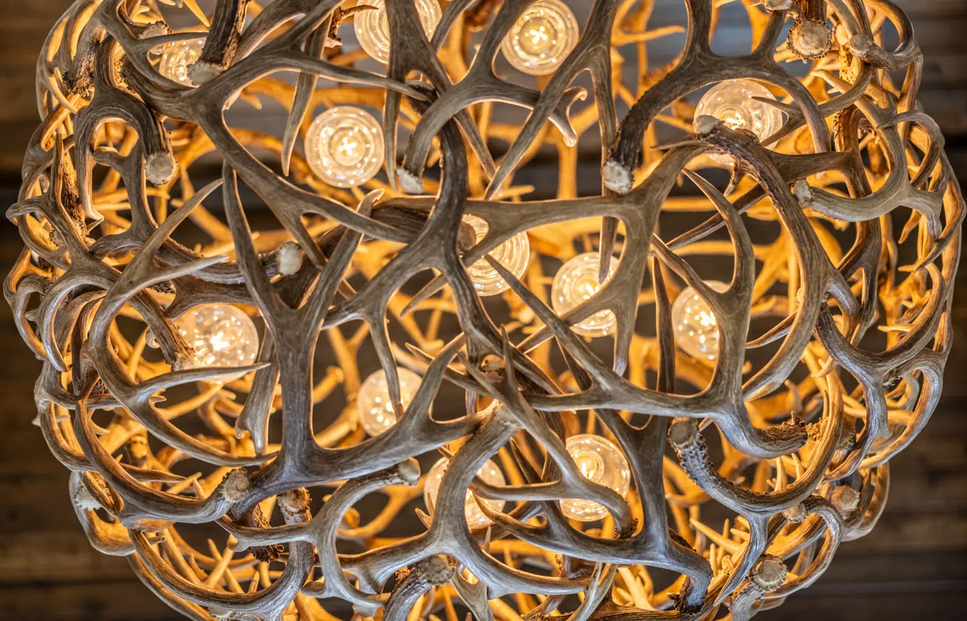 Williams Estate 8 Acre Property for Sale in Midland, Texas Image 15