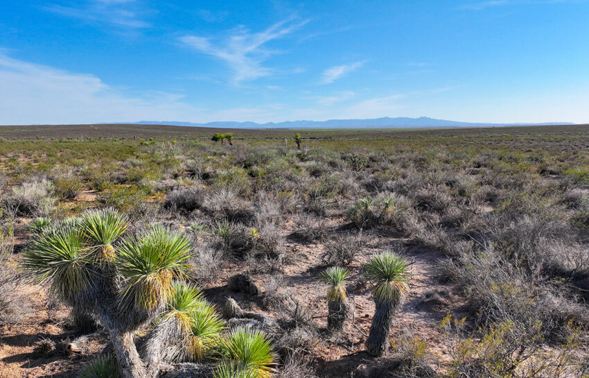Canyon Creek Ranch 732 Acre Ranch For Sale In Reeves County Image 1