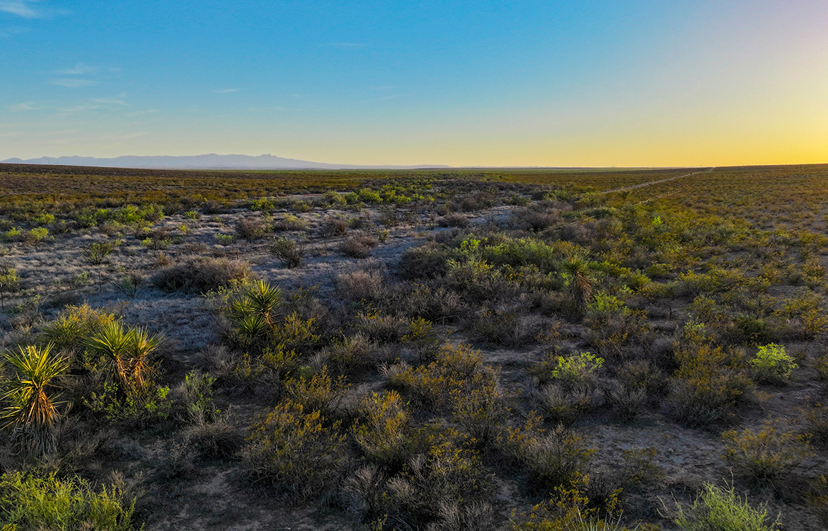 Canyon Creek Ranch 732 Acre Ranch For Sale In Reeves County Image 16