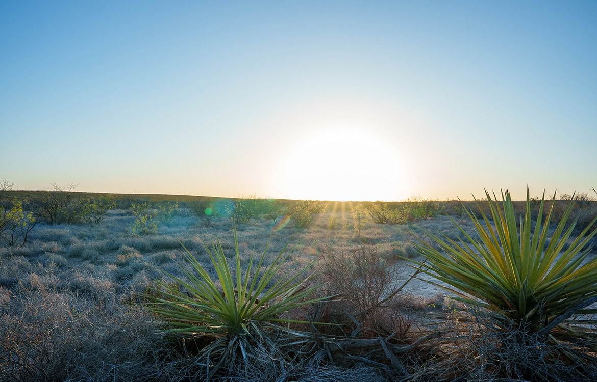 Canyon Creek Ranch 732 Acre Ranch For Sale In Reeves County Image 4