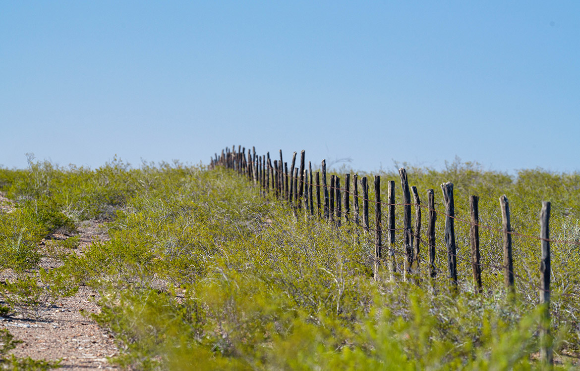 Canyon Creek Ranch 732 Acre Ranch For Sale In Reeves County Image 6