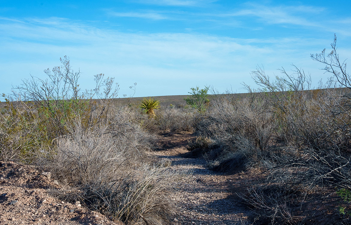 Canyon Creek Ranch 732 Acre Ranch For Sale In Reeves County Image 9
