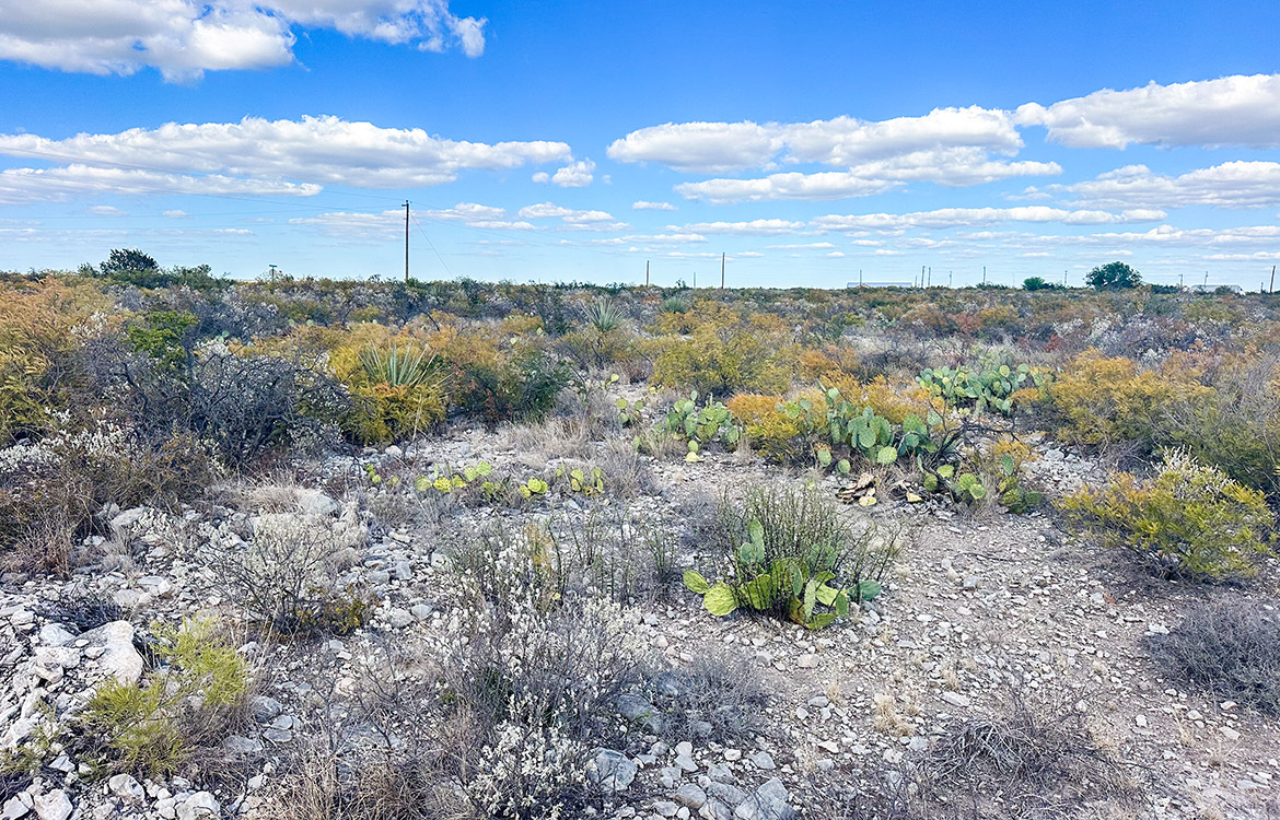 Stevens 10, 10 Acres For Sale In Val Verde County Texas Image 10