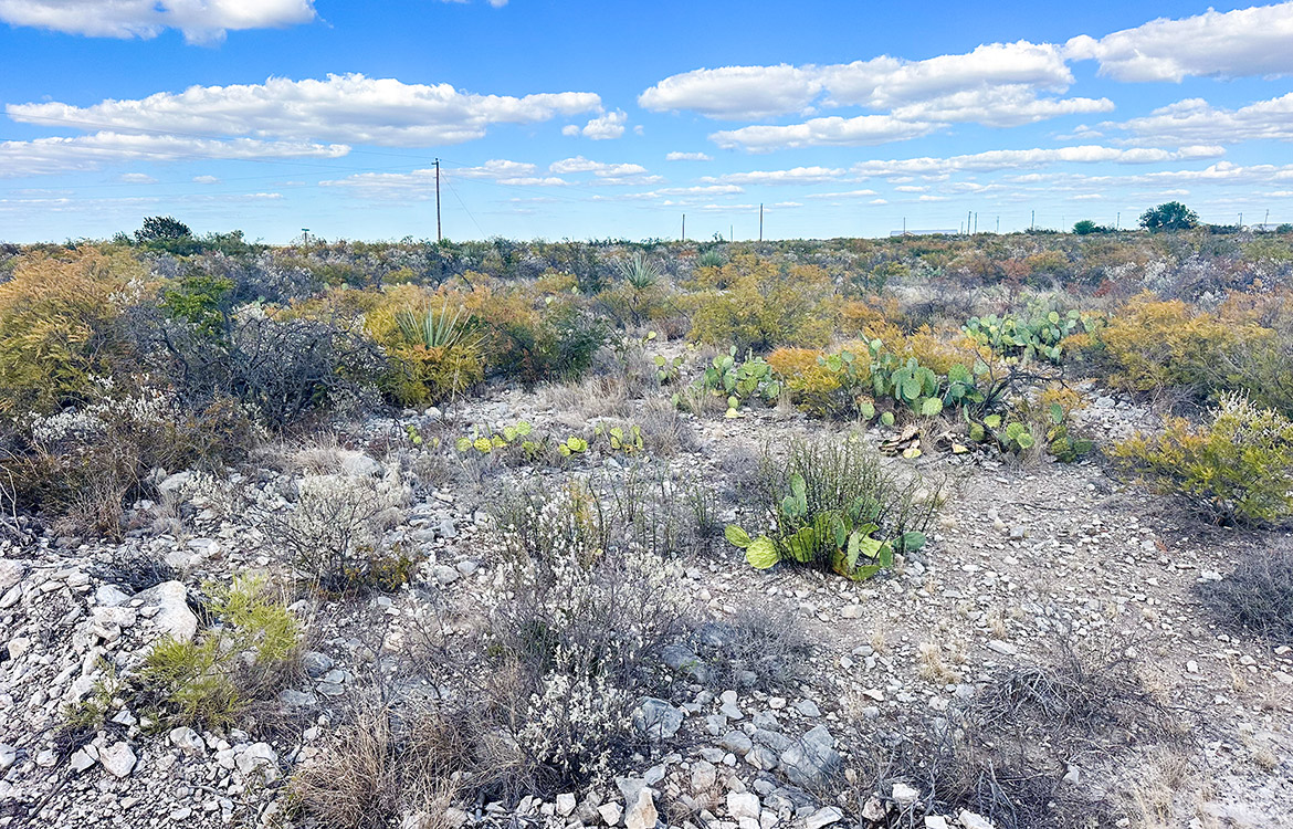 Stevens 10, 10 Acres For Sale In Val Verde County Texas Image 11