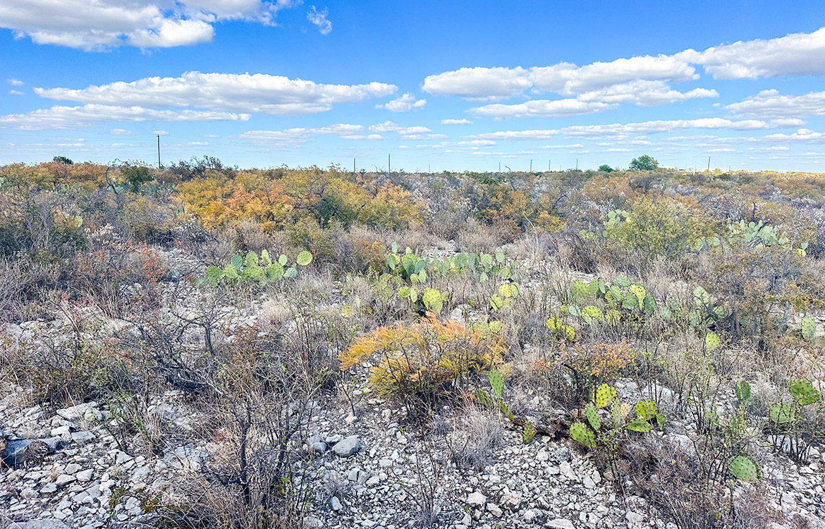 Stevens 10, 10 Acres For Sale In Val Verde County Texas Image 12