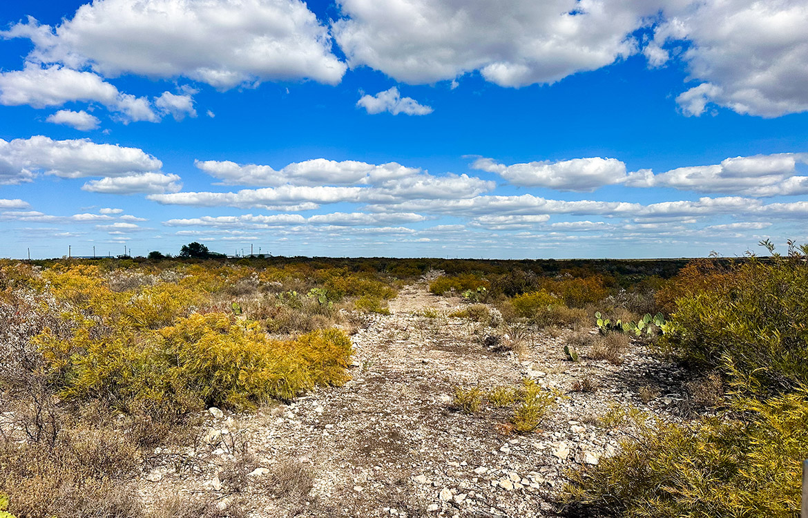 Stevens 10, 10 Acres For Sale In Val Verde County Texas Image 3