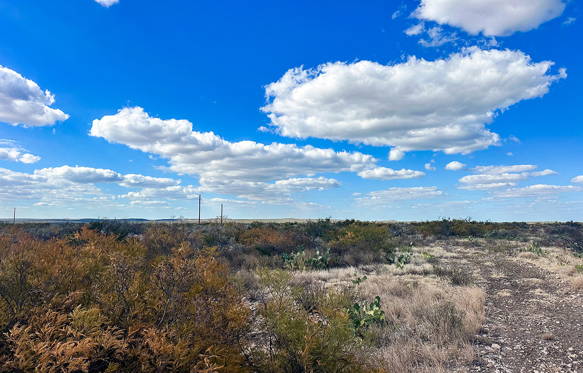 Stevens 10, 10 Acres For Sale In Val Verde County Texas Image 6