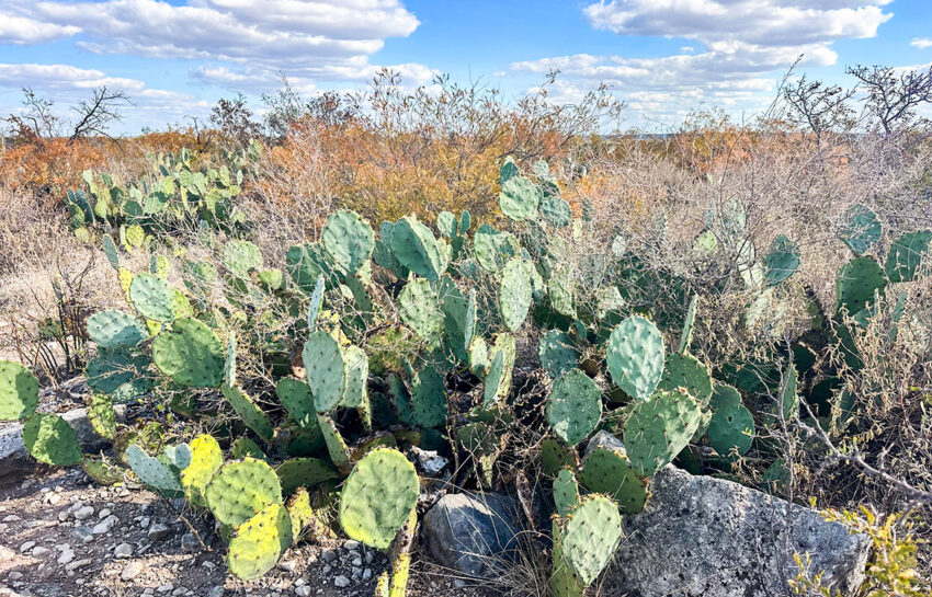 Stevens 10, 10 Acres For Sale In Val Verde County Texas Image 9