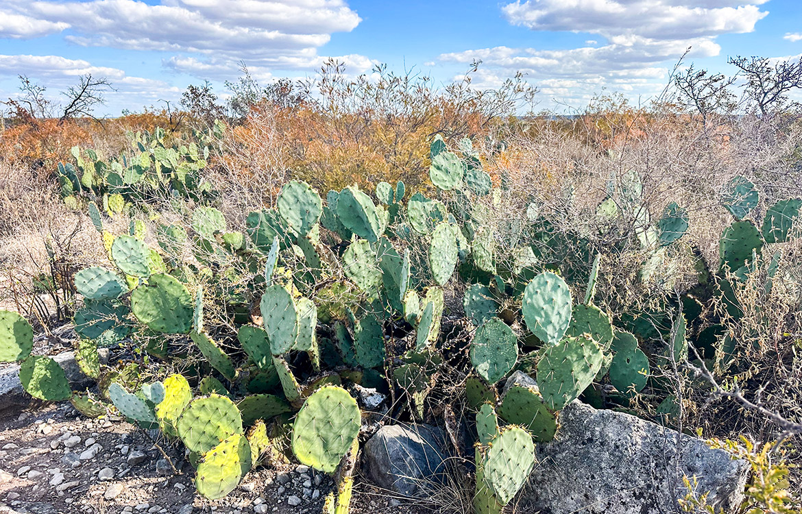 Stevens 10, 10 Acres For Sale In Val Verde County Texas Image 9