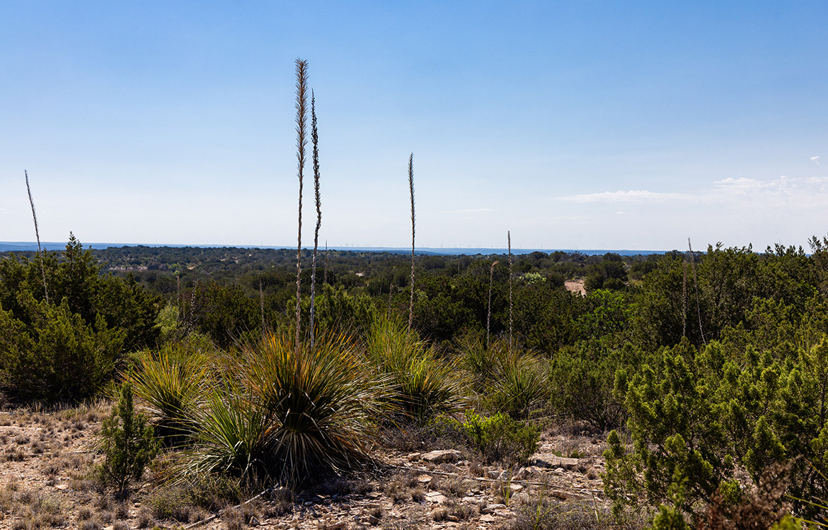 Lane Crane Ranch 12301 Acre Ranch For Sale In Val Verde County Image 7