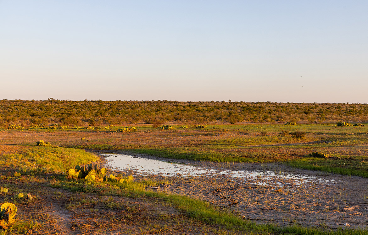Brother Ranch 26820 Acre Ranch For Sale In Val Verde County Image 4