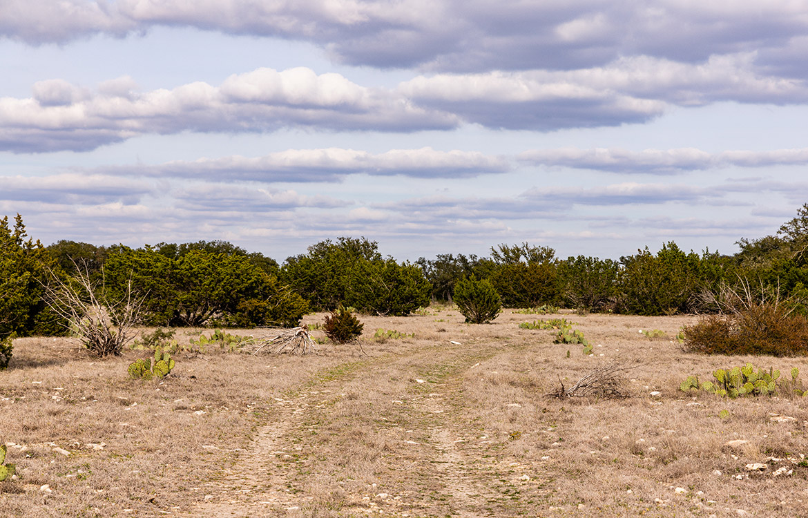 Arrowhead Ranch 110 Acre Ranch For Sale In Edwards County Image 5