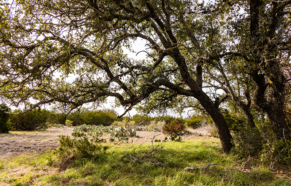 Arrowhead Ranch 110 Acre Ranch For Sale In Edwards County Image 7