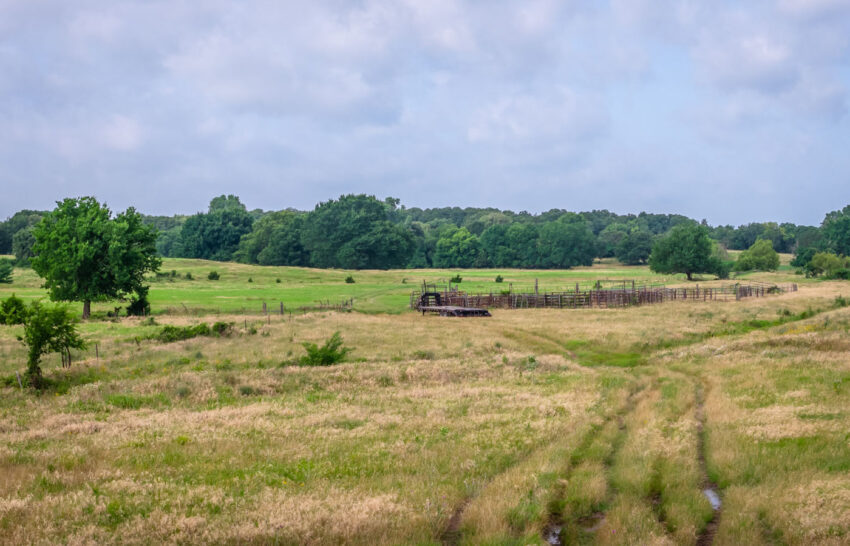 The Ranch on Panther Creek 258 Acre Cattle Ranches Wise County, Texas Image 2