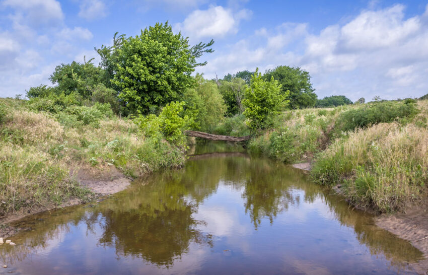 The Ranch on Panther Creek 258 Acre Cattle Ranches Wise County, Texas Image 4