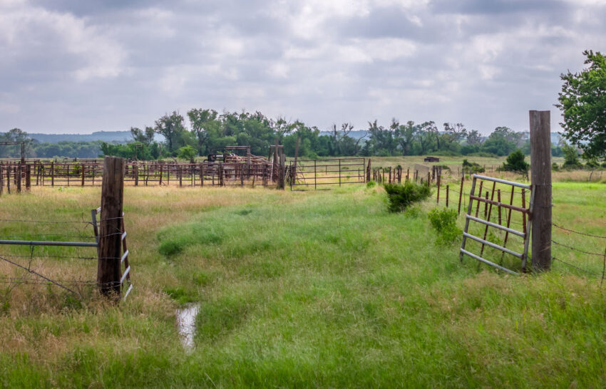 The Ranch on Panther Creek 258 Acre Cattle Ranches Wise County, Texas Image 7