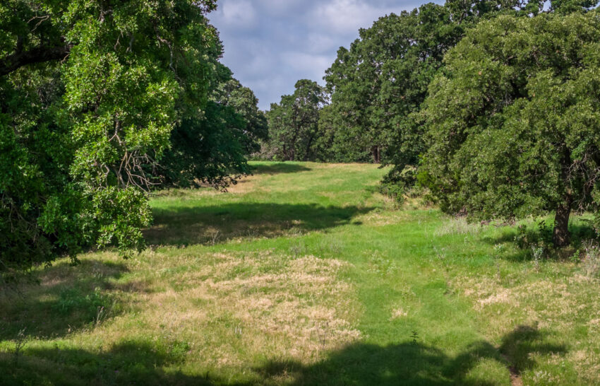 The Ranch on Panther Creek 258 Acre Cattle Ranches Wise County, Texas Image 13